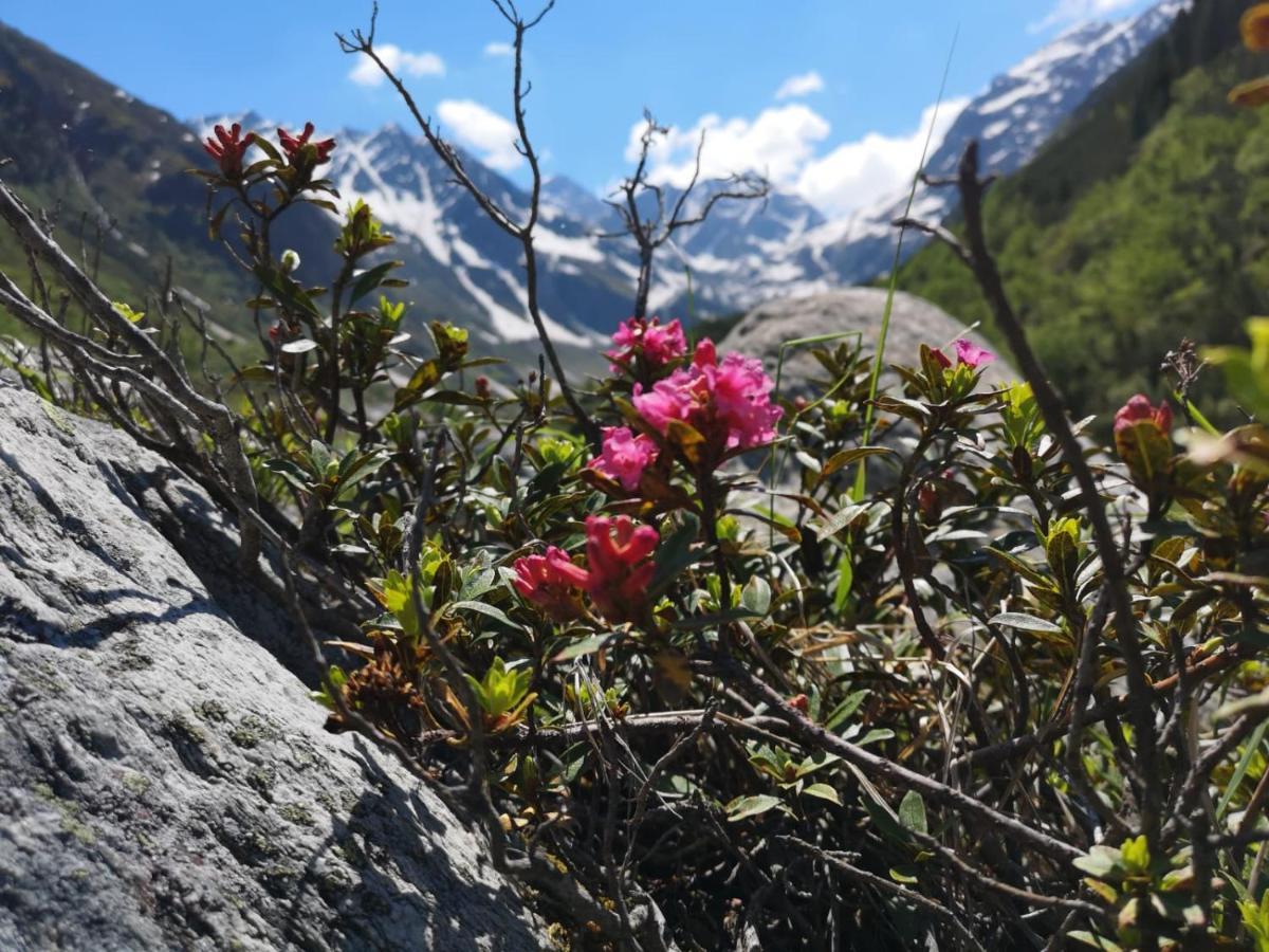 Piz-Hotel Sankt Leonhard im Pitztal Luaran gambar